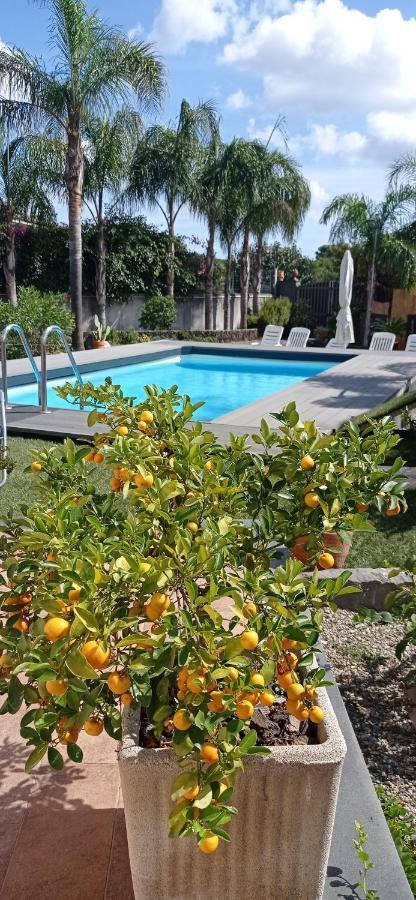Le Stanze Dei Colori Hotell Aci Bonaccorsi Exteriör bild